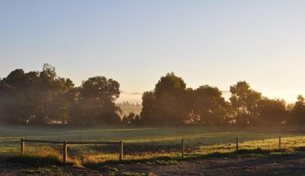 Tallawarra Homestead Tonimbuc Kültér fotó