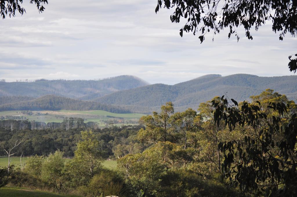 Tallawarra Homestead Tonimbuc Kültér fotó